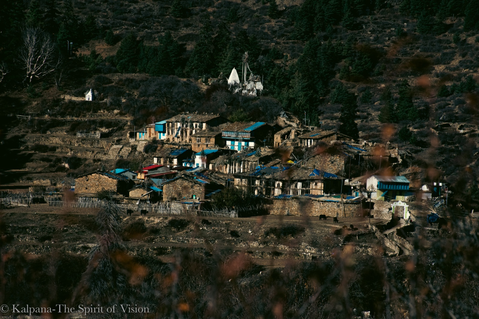 Beautiful landscape of Vyas Valley mountains