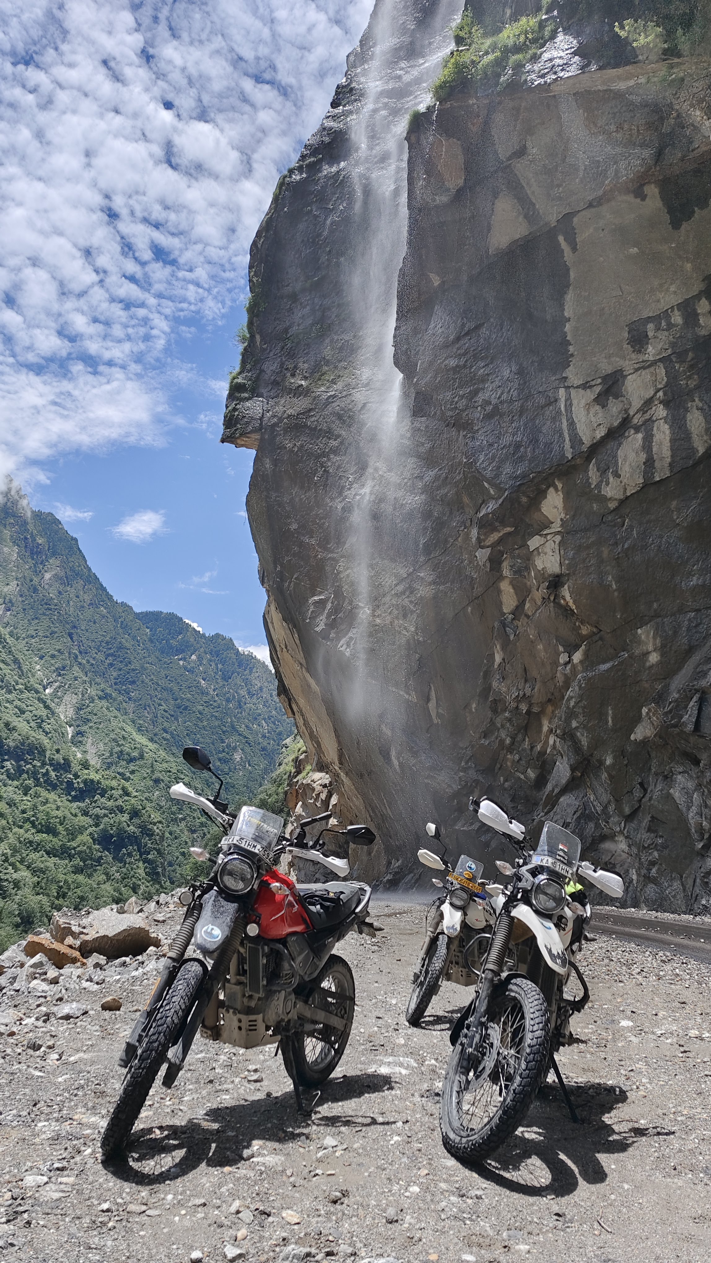 Overland rider cruising through the misty pine forests