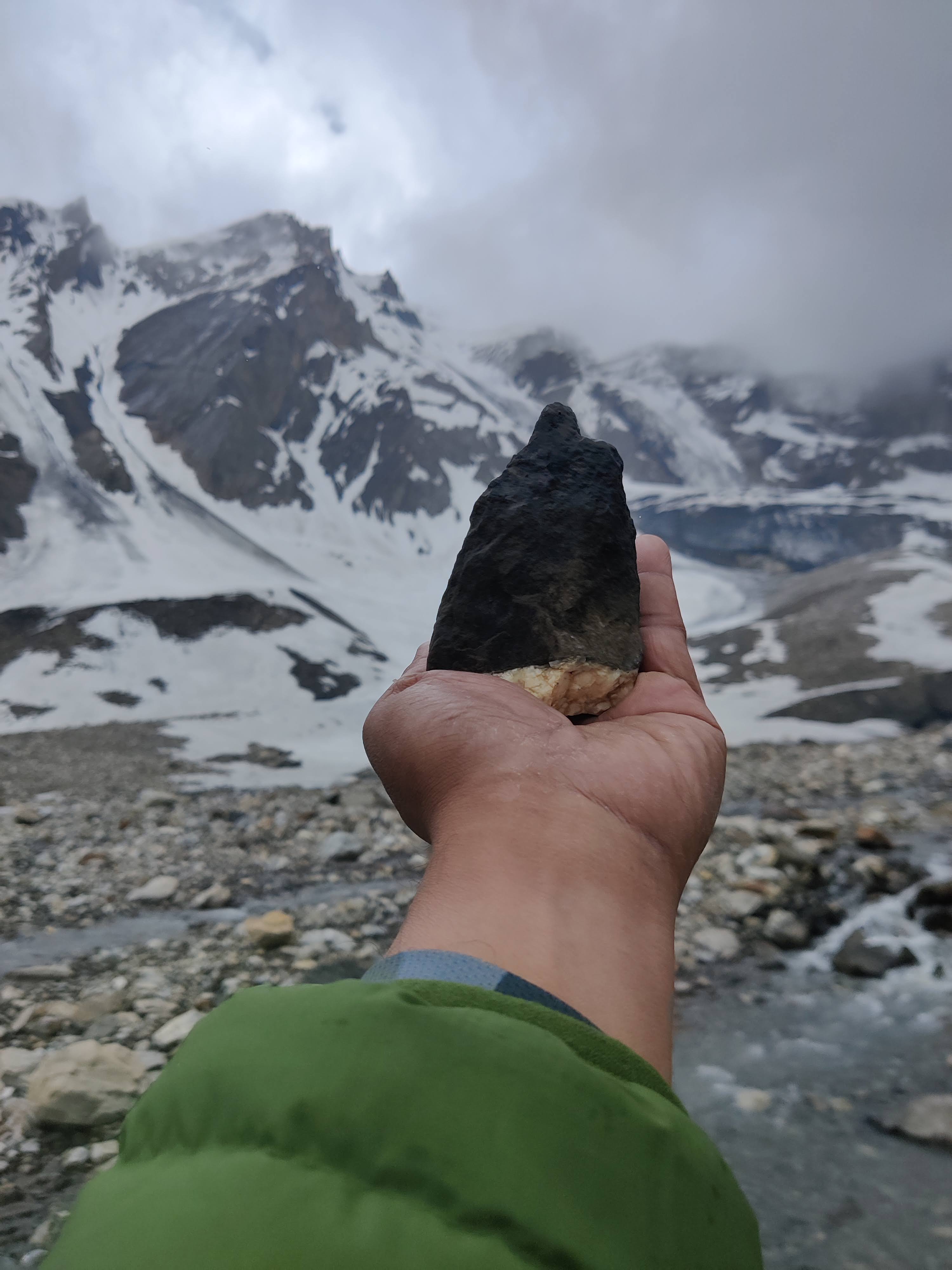 Alpine flora and fauna in high valleys